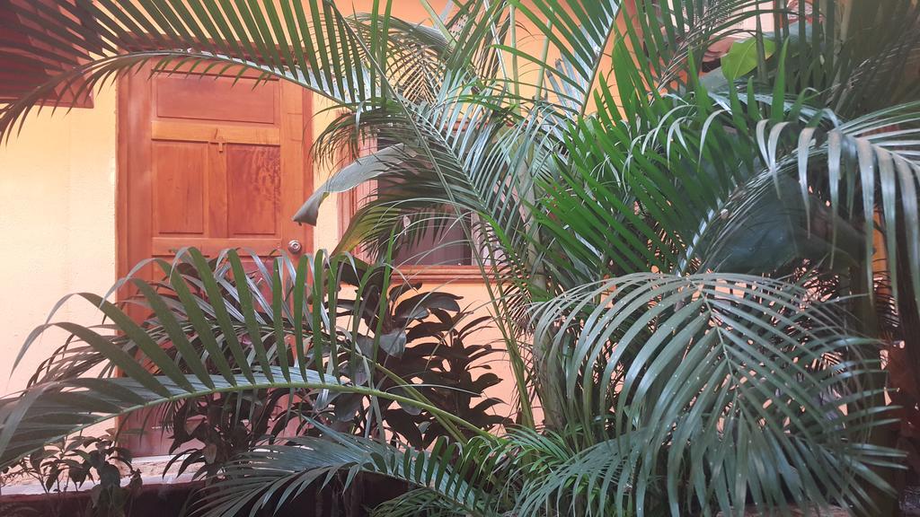 Hotel El Maltese Granada Bagian luar foto